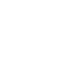 FSB