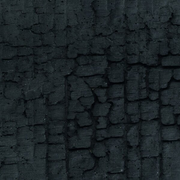 Produkt: SHOU SUGI BAN visia