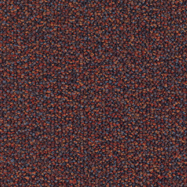 Produkt: Aera Bigloop