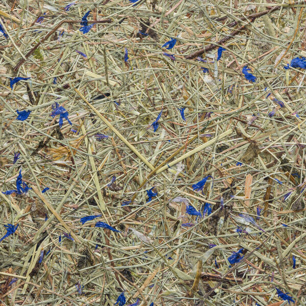 Produkt: Wildspitze Himmelblau