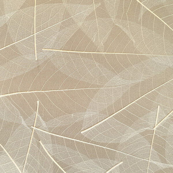 Produkt: Skelettblattla