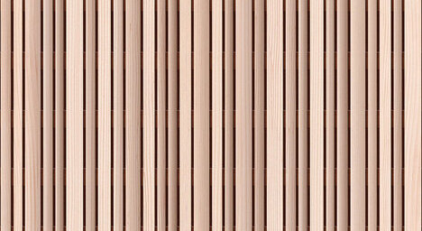 Weißtanne astrein, lebhaft 3D