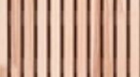 Esche astrein, lebhaft