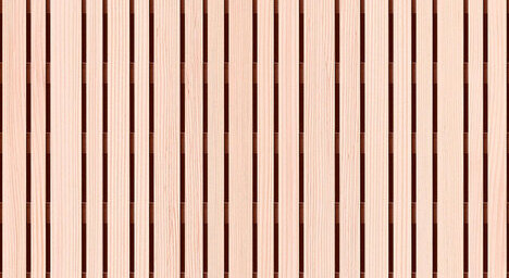 Weißtanne astrein, lebhaft