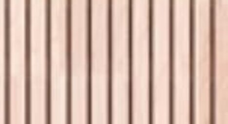 Ahorn astrein, europäisch