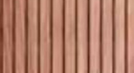 Nuss astrein, lebhaft