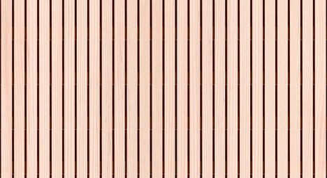 Weißtanne astrein, lebhaft