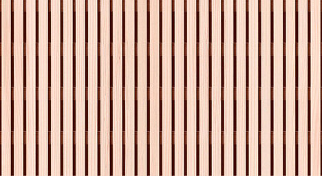 Weißtanne astrein, economy