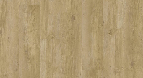 Sinero Klebevariante