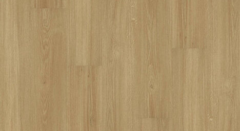 Sinero Klebevariante