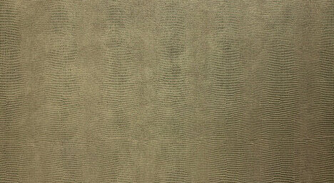 LL LEGUAN Gold Antigrav