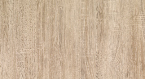 WL OAK TREE Light Nature