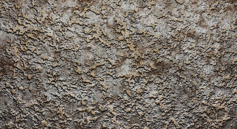 SL LAVA VINTAGE Gold