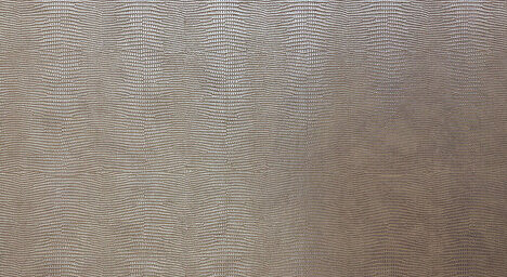 LL LEGUAN Silver Antigrav