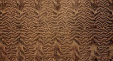 LL LEGUAN Copper Antigrav