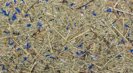 Wildspitze Himmelblau